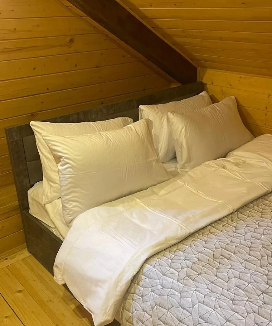 Old Town Home Tiflis Daire